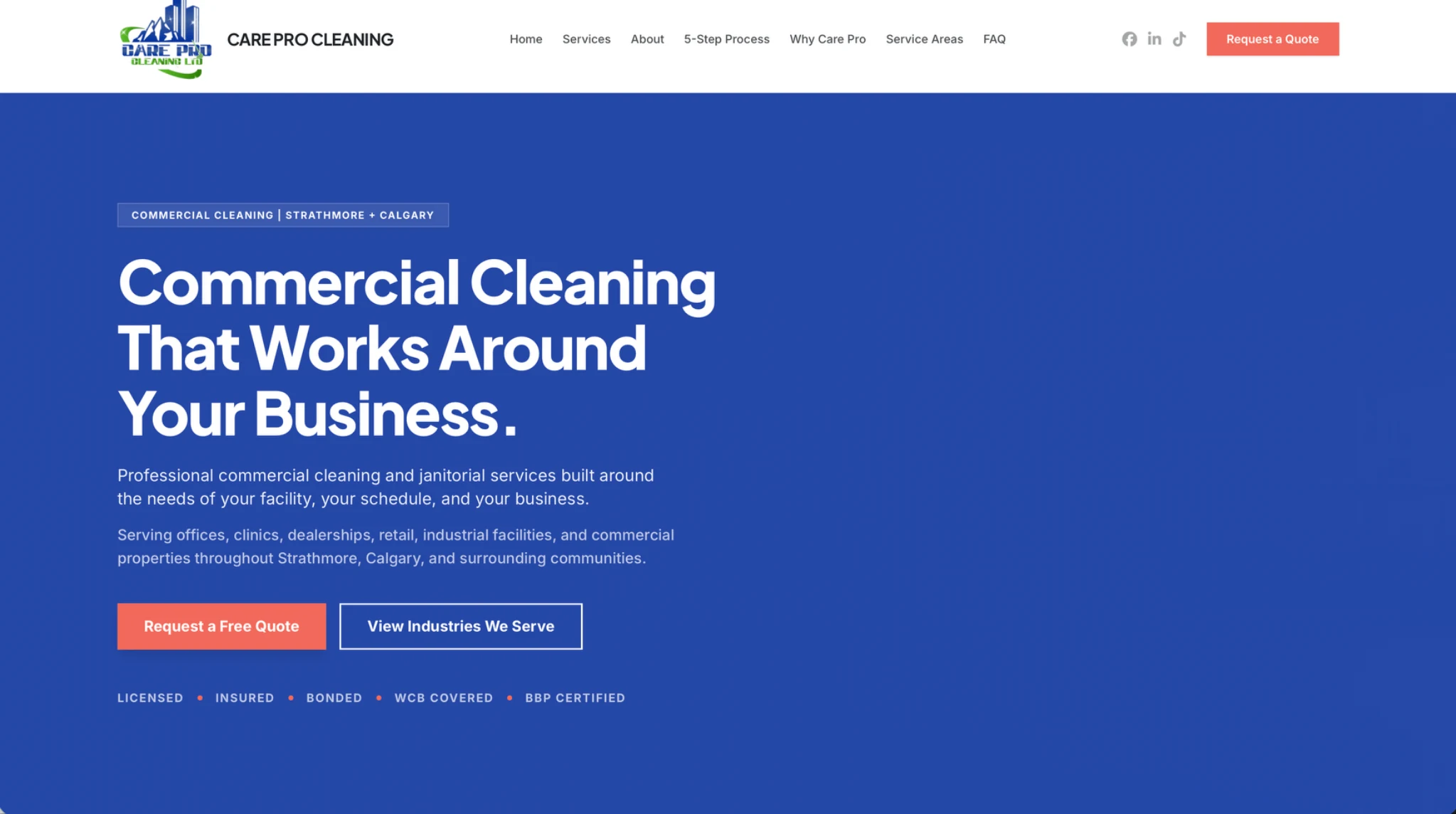 Care Pro Cleaning desktop homepage screenshot